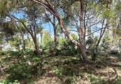 Terreno no urbanizable en venta en la España, Orihuela, ref: TR382256 foto
