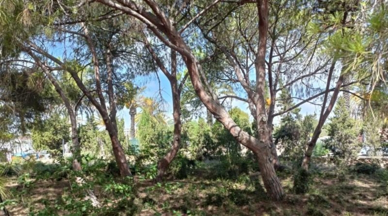 Аликанте - Cabo Roig - 1084m2