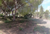Terreno no urbanizable en venta en la España, Orihuela, ref: TR382256 foto
