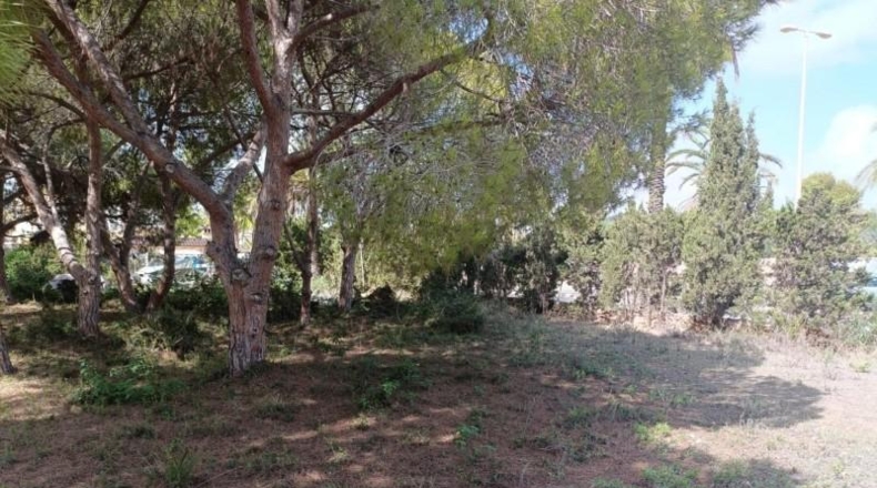 Аликанте - Cabo Roig - 1084m2
