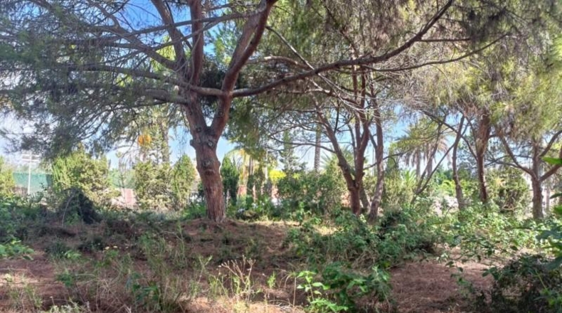 Аликанте - Cabo Roig - 1084m2