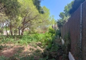Terreno no urbanizable en venta en la España, Orihuela, ref: TR382256 foto