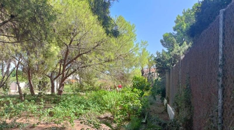 Аликанте - Cabo Roig - 1084m2