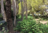 Terreno no urbanizable en venta en la España, Orihuela, ref: TR382256 foto