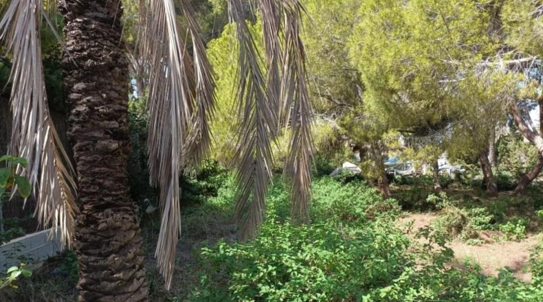 Аликанте - Cabo Roig - 1084m2