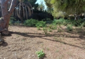 Terreno no urbanizable en venta en la España, Orihuela, ref: TR382256 foto