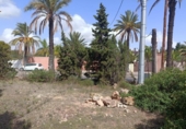Terreno no urbanizable en venta en la España, Orihuela, ref: TR382256 foto