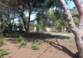 Terreno no urbanizable en venta en la España, Orihuela, ref: TR382256 foto