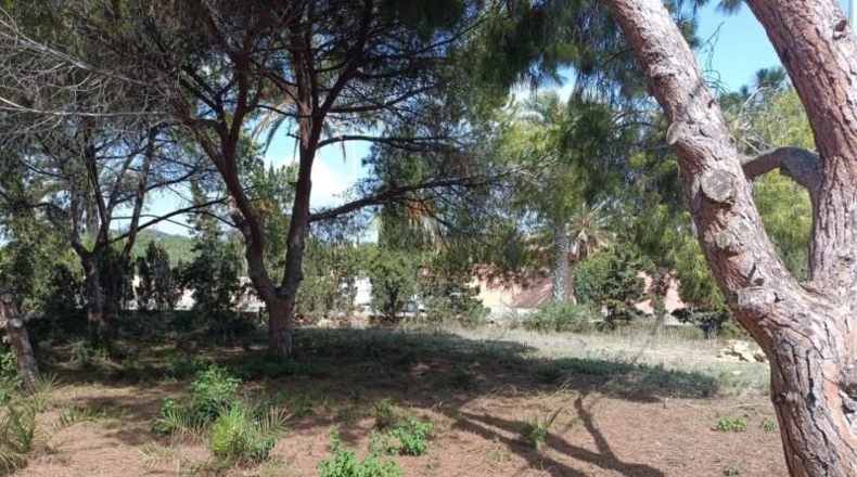 Аликанте - Cabo Roig - 1084m2