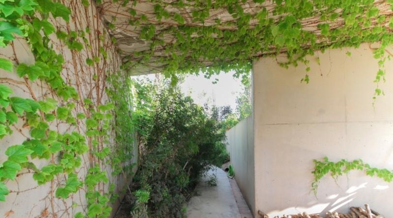 Аликанте - Sant Vicent del Raspeig - 451m2