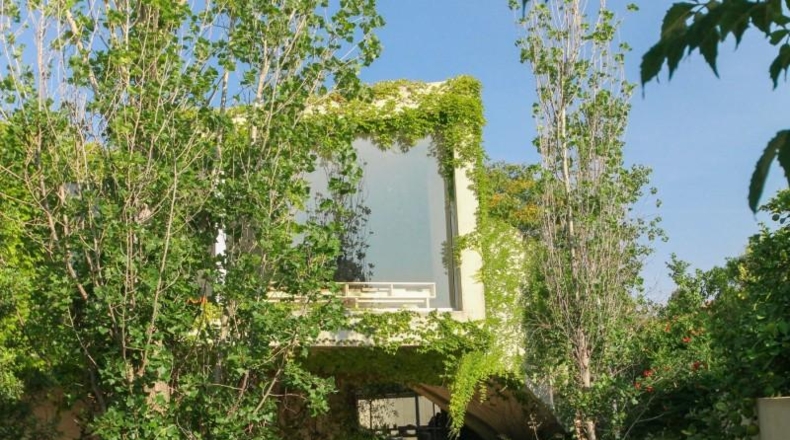 Аликанте - Sant Vicent del Raspeig - 451m2