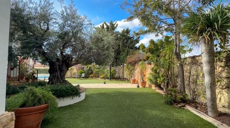 Аликанте - Orihuela - 725m2