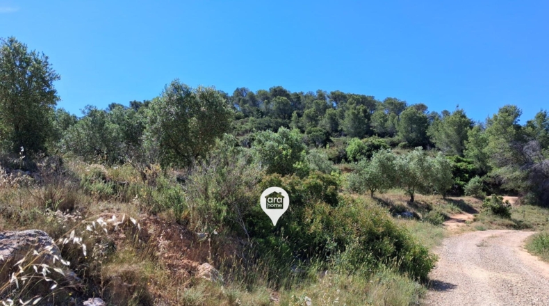 Tarragona - el Pinell de Brai - 140000m2