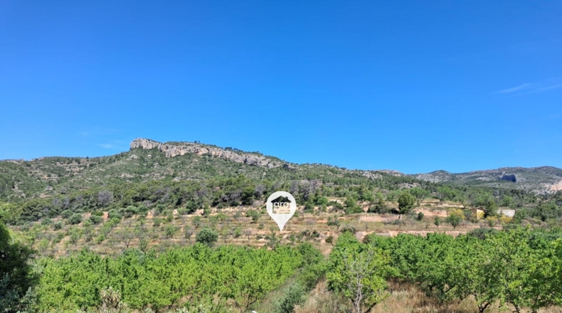 Tarragona - el Pinell de Brai - 140000m2
