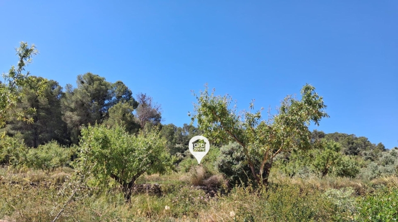 Tarragona - el Pinell de Brai - 140000m2