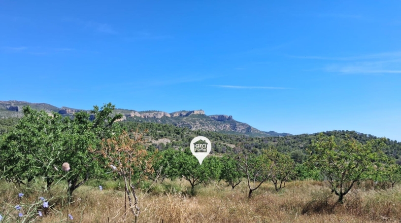 Tarragona - el Pinell de Brai - 140000m2