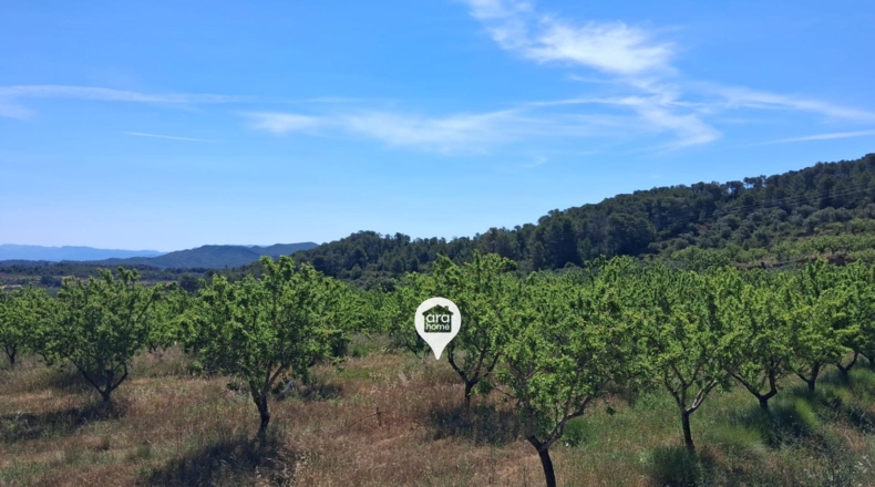 Tarragona - el Pinell de Brai - 140000m2