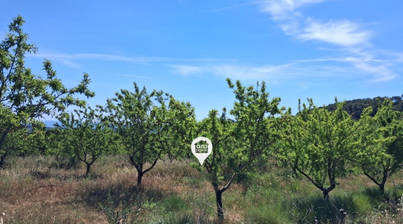 Tarragona - el Pinell de Brai - 140000m2