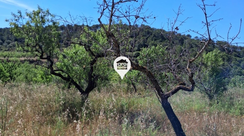 Tarragona - el Pinell de Brai - 140000m2