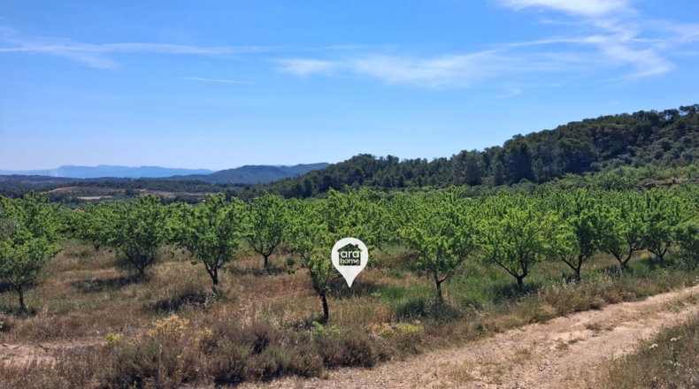 Tarragona - el Pinell de Brai - 140000m2