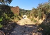 Terreny no urbanitzable en venda a la España, el Pinell de Brai, ref.: TR413413 foto