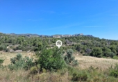Terreny no urbanitzable en venda a la España, el Pinell de Brai, ref.: TR413413 foto