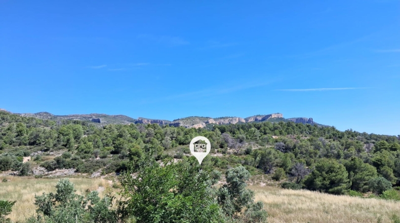 Tarragona - el Pinell de Brai - 140000m2
