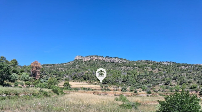 Tarragona - el Pinell de Brai - 140000m2