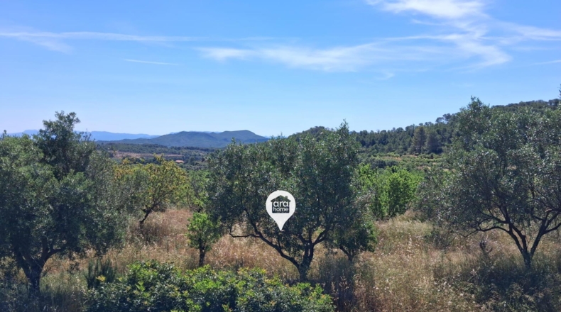 Tarragona - el Pinell de Brai - 140000m2