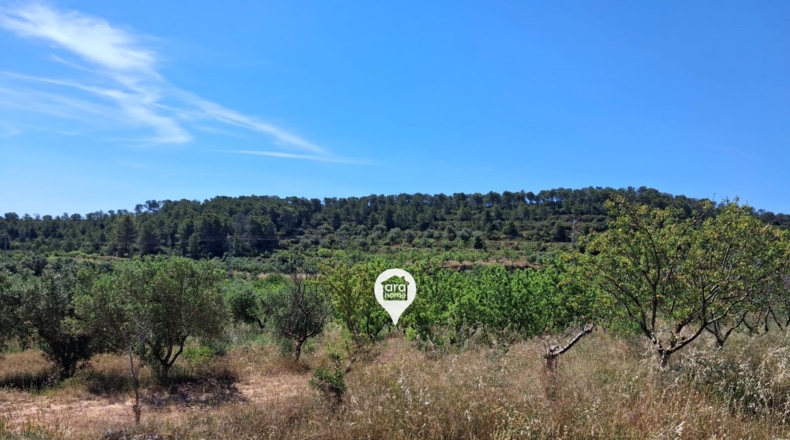 Tarragona - el Pinell de Brai - 140000m2