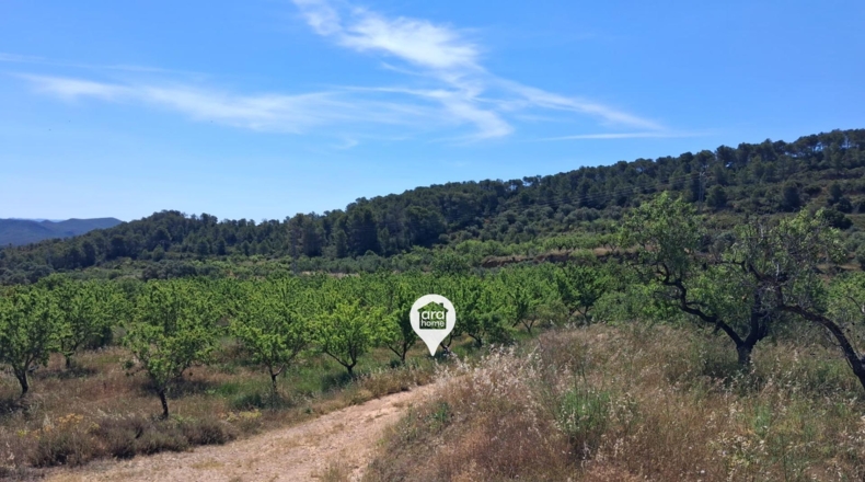 Tarragona - el Pinell de Brai - 140000m2
