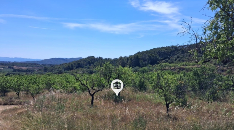 Tarragona - el Pinell de Brai - 140000m2