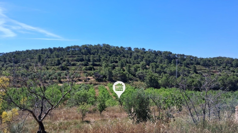 Tarragona - el Pinell de Brai - 140000m2