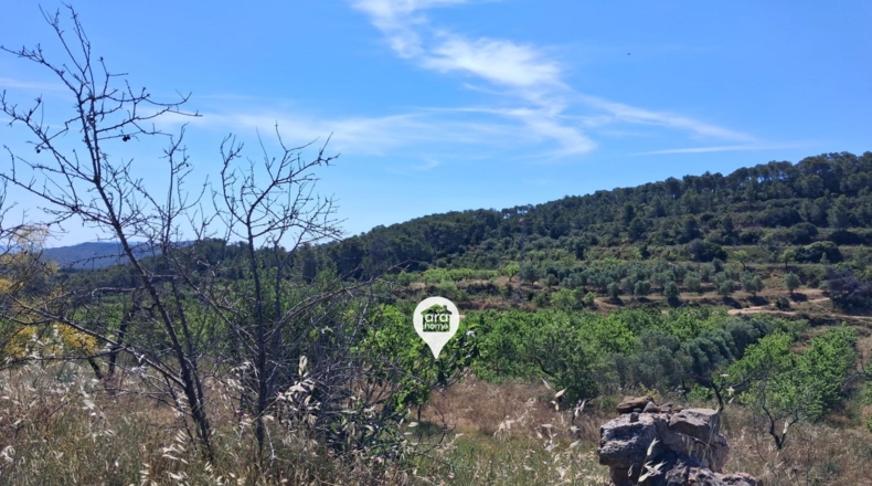 Tarragona - el Pinell de Brai - 140000m2