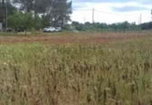 Terreno no urbanizable en venta en la carrer de la Victòria, Algaida, ref: TR413420 foto