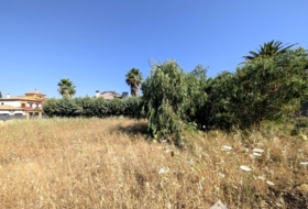 Linares 997&nbsp;m²