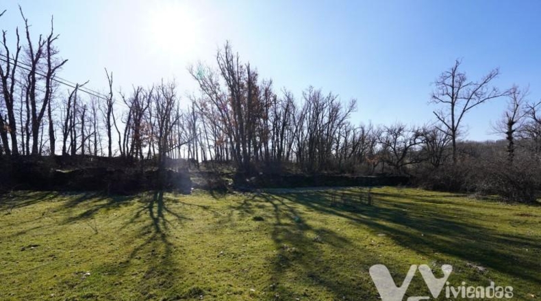 Guadalajara - Campillo de Ranas - 1980m2