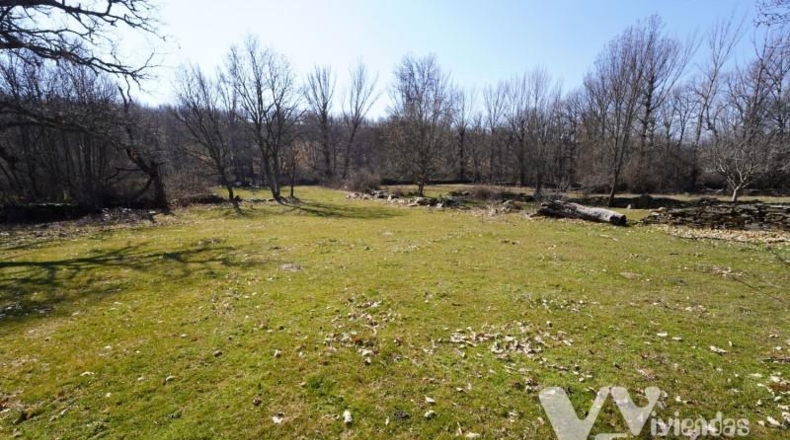 Guadalajara - Campillo de Ranas - 1980m2
