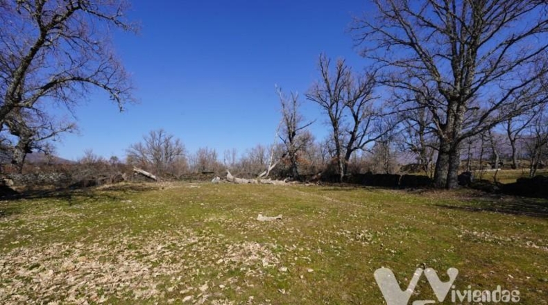 Guadalajara - Campillo de Ranas - 1980m2