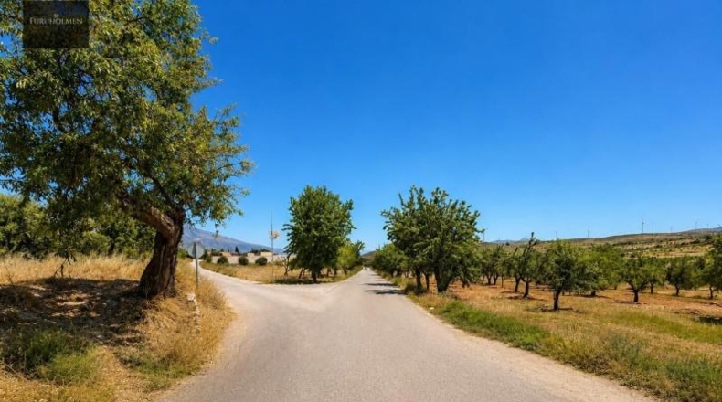 Granada - Padul - 1300m2