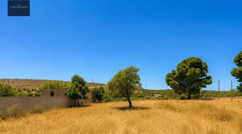 Granada - Padul - 1300m2
