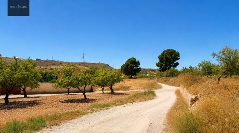 Granada - Padul - 1300m2