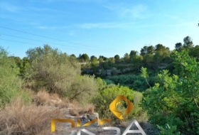 Almassora 2566&nbsp;m²