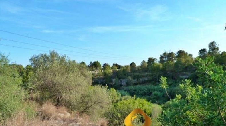 Castellón - Almassora - 2566m2