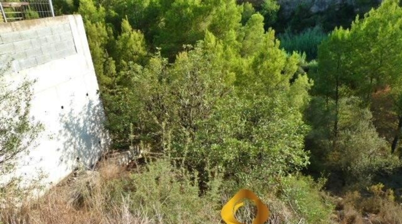 Castellón - Almassora - 2566m2