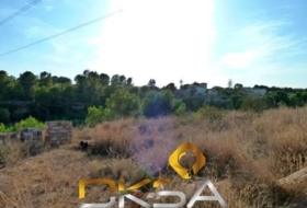 Almassora 2566&nbsp;m²