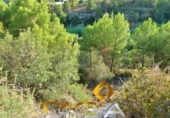 Terreno no urbanizable en venta en la España, Almassora, ref: TR413430 foto