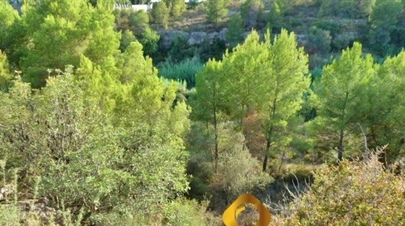 Castellón - Almassora - 2566m2