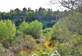 Almassora 2566&nbsp;m²