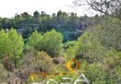 Terreno no urbanizable en venta en la España, Almassora, ref: TR413430 foto